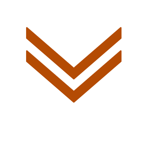 arrows down animated (1)